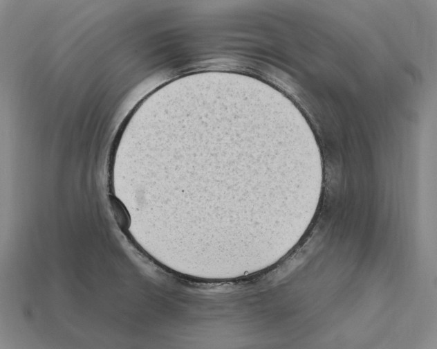 X0000112411426200909251447