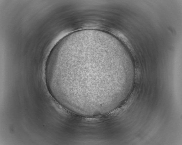 X0000112411427200909251447