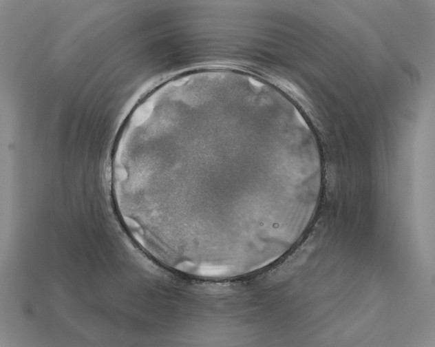 X0000112411428200909251447
