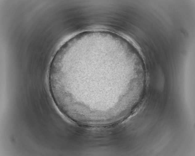 X0000112411429200909251447