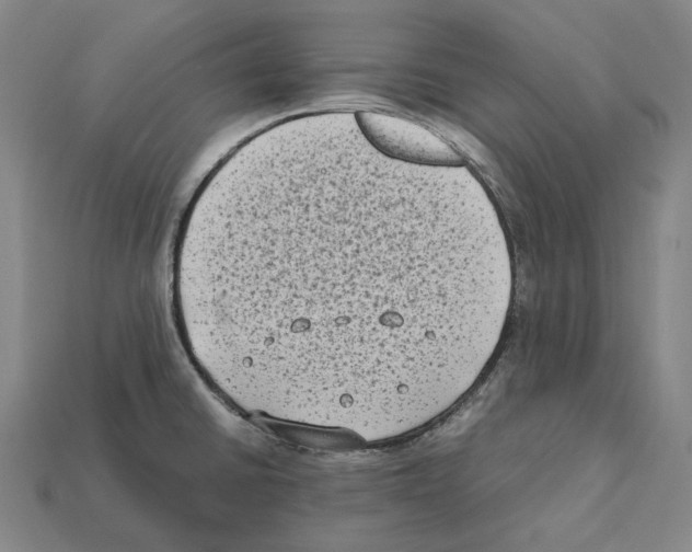 X0000112411430200909251447