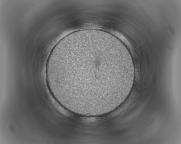 X0000112411431200909251447