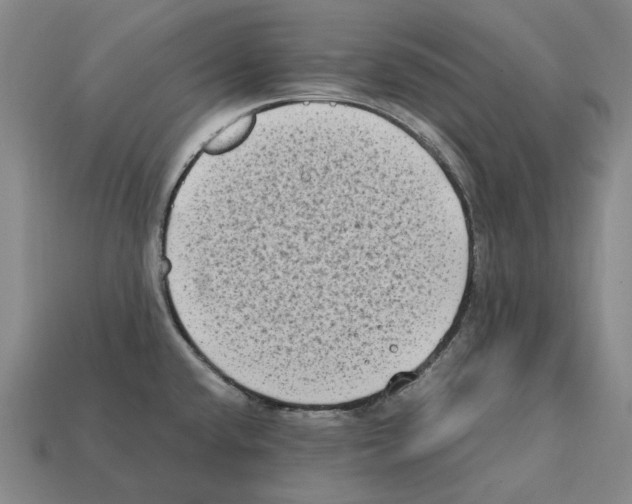 X0000112411432200909251447