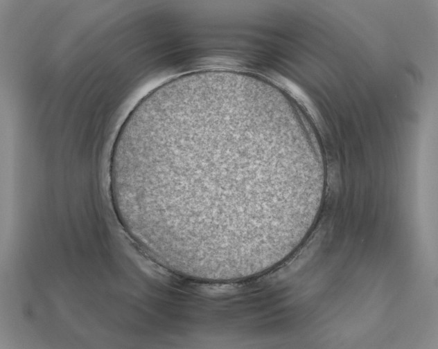 X0000112411435200909251447