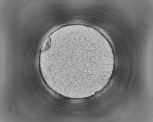 X0000112411437200909251447