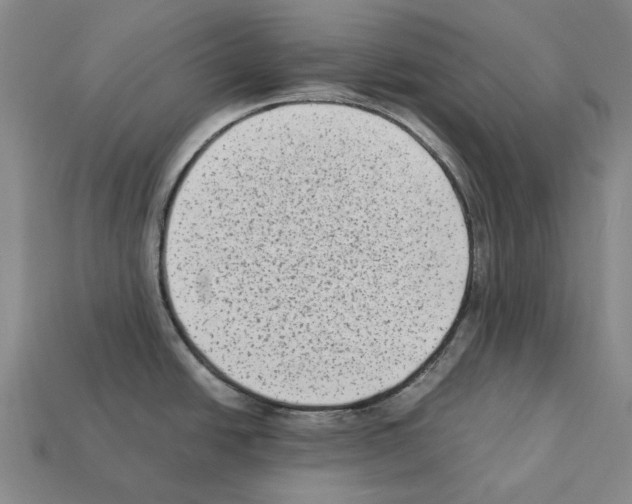 X0000112411438200909251447
