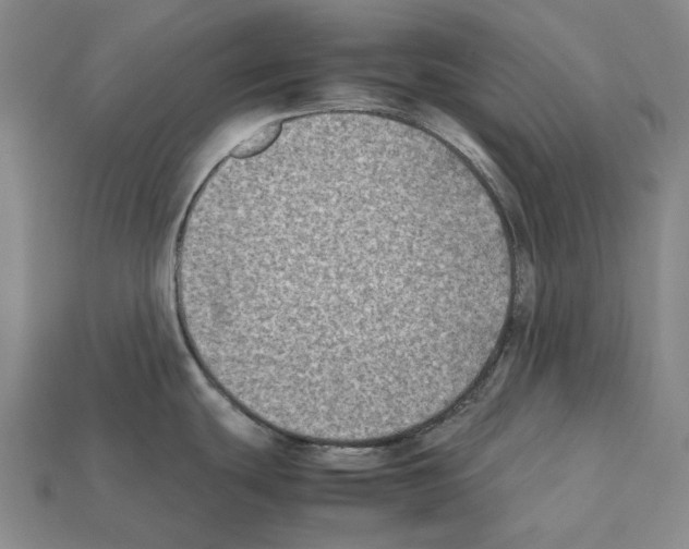 X0000112411439200909251447