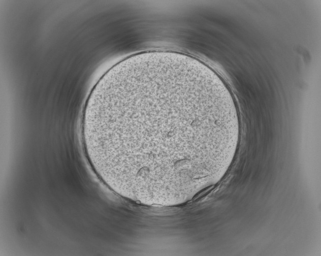 X0000112411440200909251447