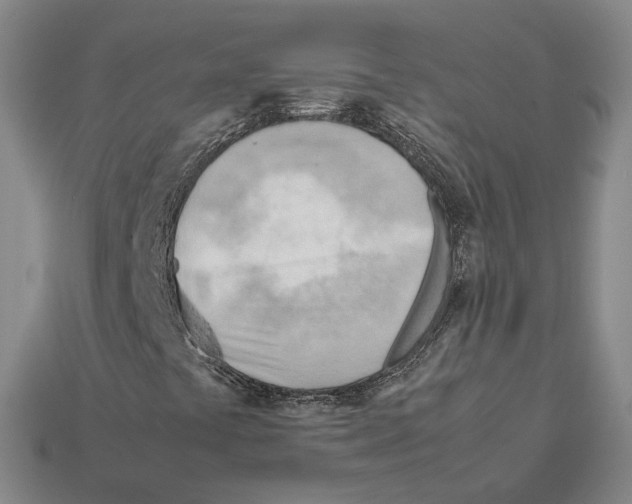 X0000112411441200909251446