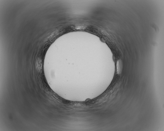 X0000112411443200909251446
