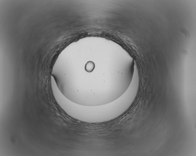X0000112411445200909251446