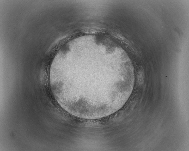X0000112411446200909251446