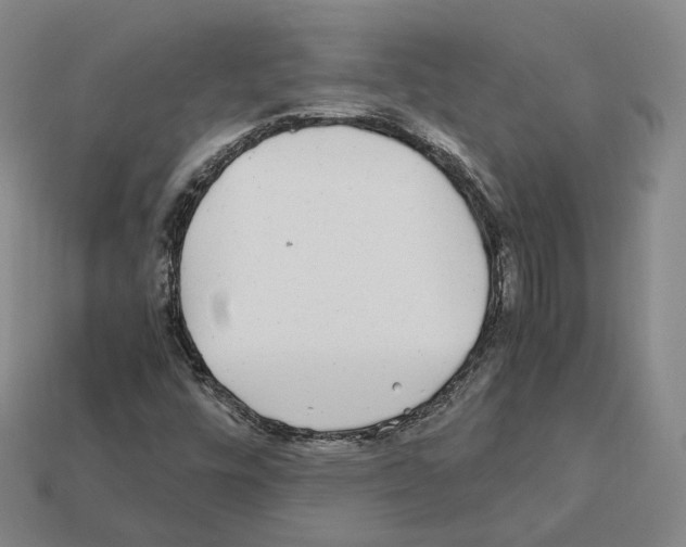 X0000112411448200909251446