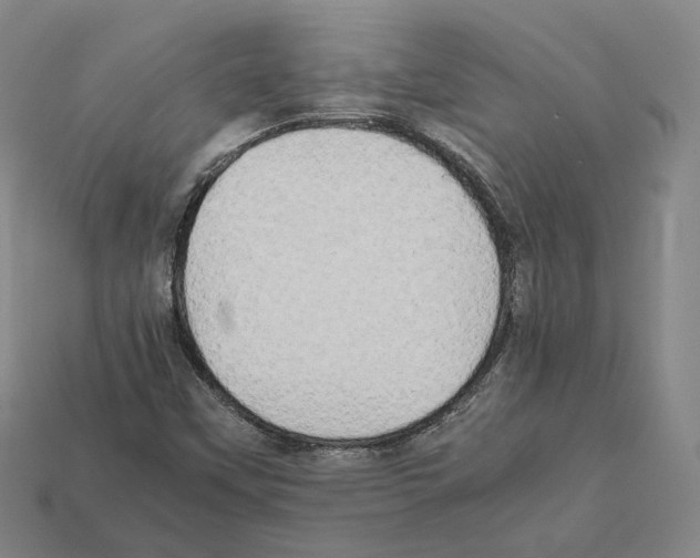 X0000112411451200909251446