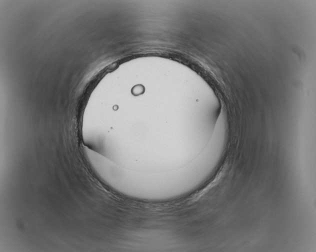 X0000112411453200909251446