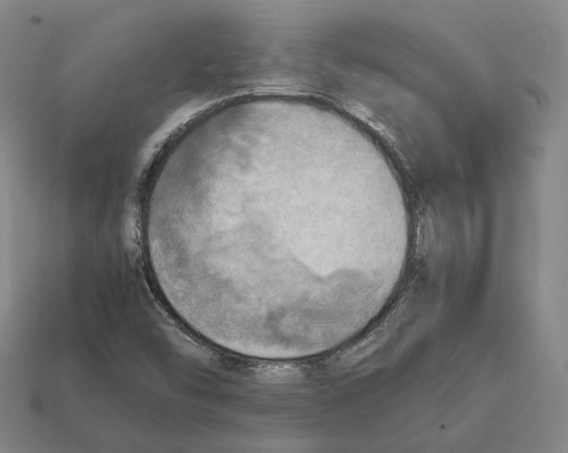 X0000112411454200909251446