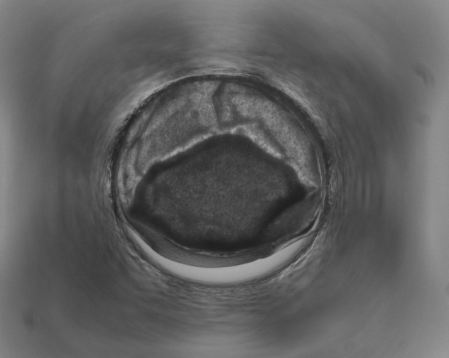 X0000112411455200909251446