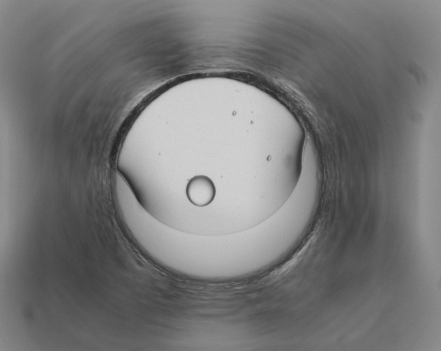 X0000112411457200909251446