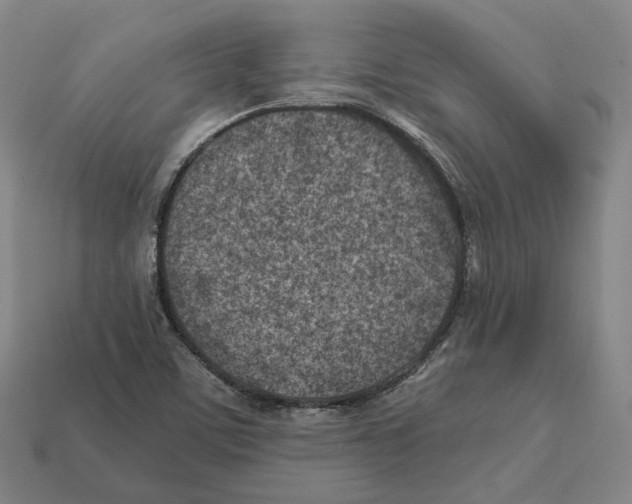 X0000112411459200909251446
