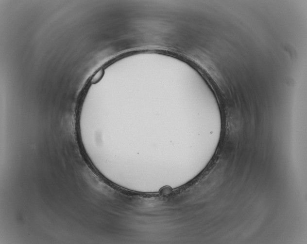 X0000112411460200909251446