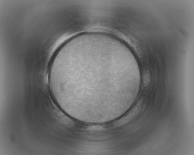 X0000112411462200909251446