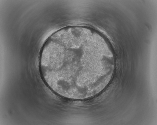 X0000112411463200909251446