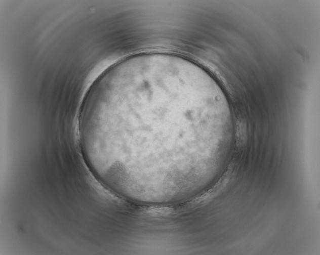 X0000112411466200909251446
