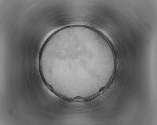 X0000112411468200909251446