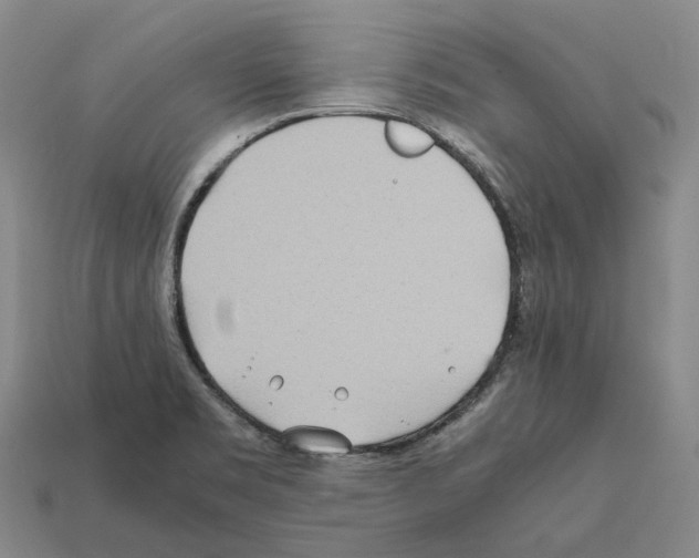 X0000112411469200909251446