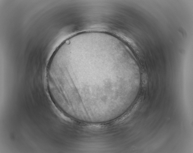 X0000112411470200909251446