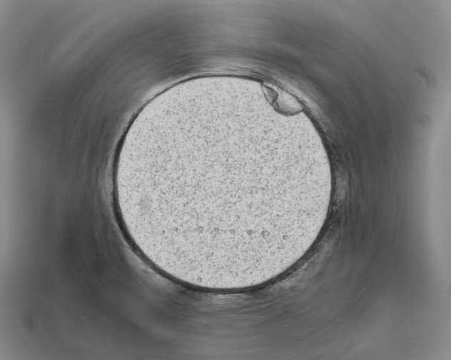 X0000112411471200909251446