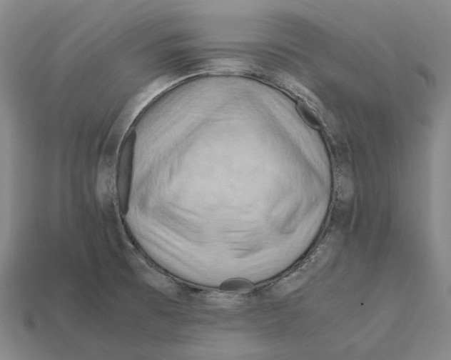 X0000112411473200909251446
