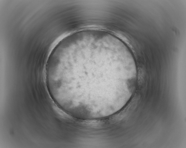 X0000112411474200909251446