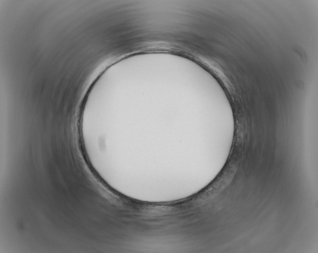 X0000112411475200909251446