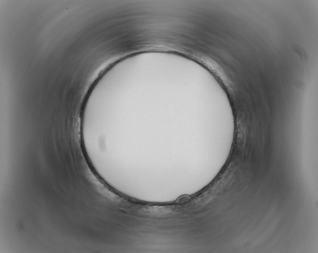 X0000112411476200909251446