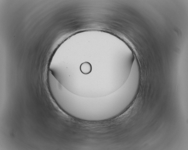 X0000112411477200909251446