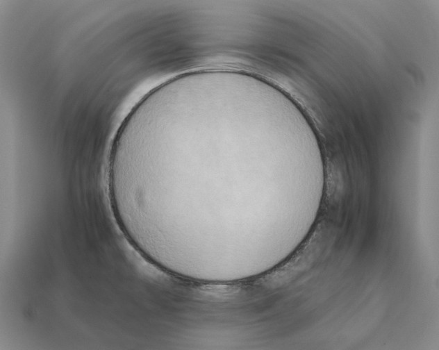 X0000112411478200909251446