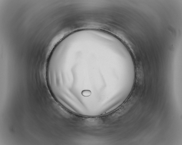 X0000112411480200909251446