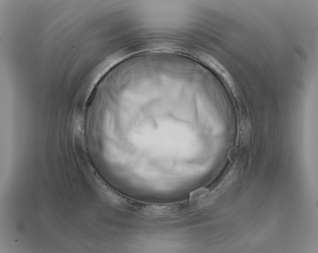 X0000112411481200909251446