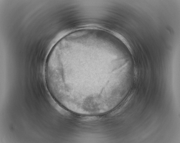 X0000112411482200909251446