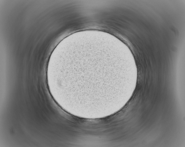 X0000112411483200909251446
