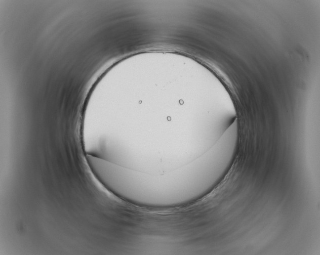 X0000112411484200909251446
