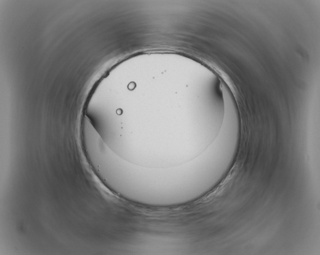 X0000112411485200909251446