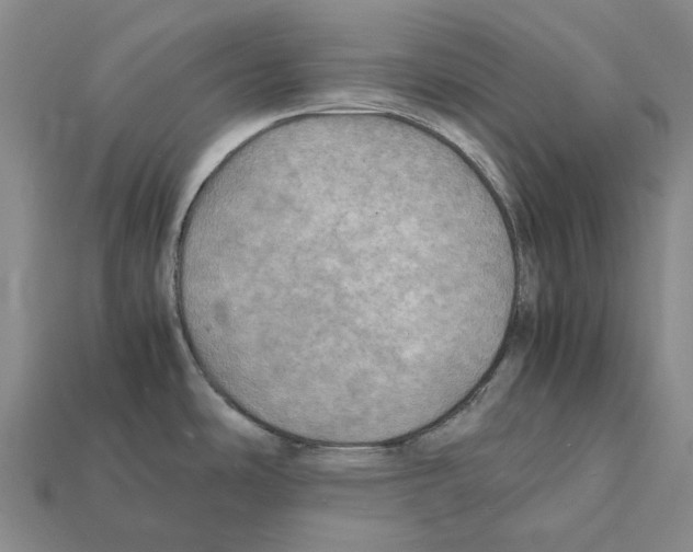 X0000112411486200909251446