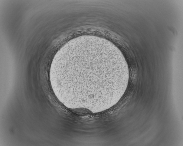 X0000112411489200909251445