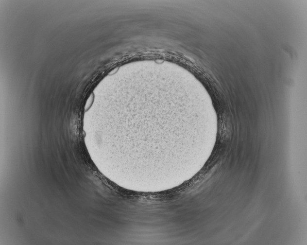 X0000112411490200909251445