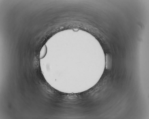 X0000112411491200909251445