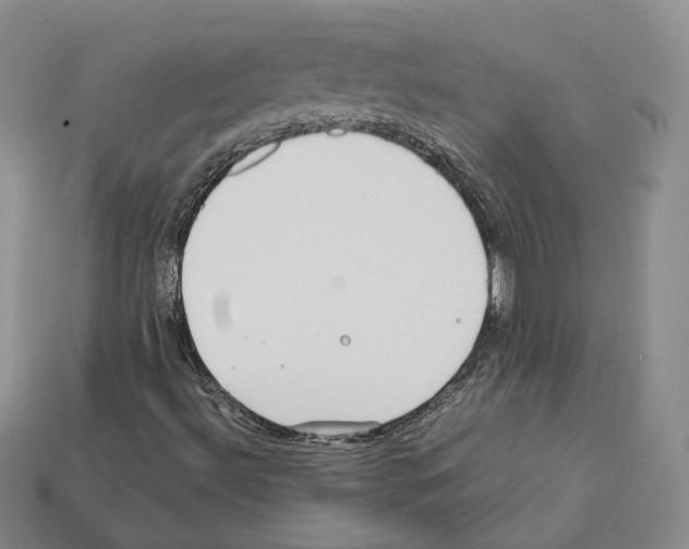 X0000112411492200909251445