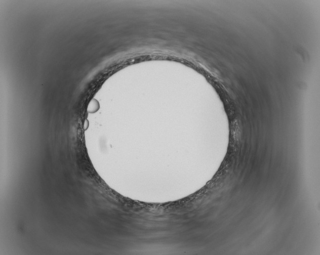 X0000112411495200909251445