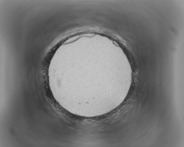 X0000112411496200909251445